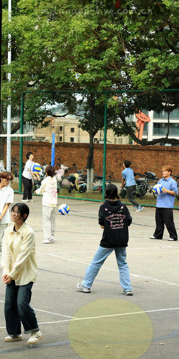 红色背景上金色数据仪表盘